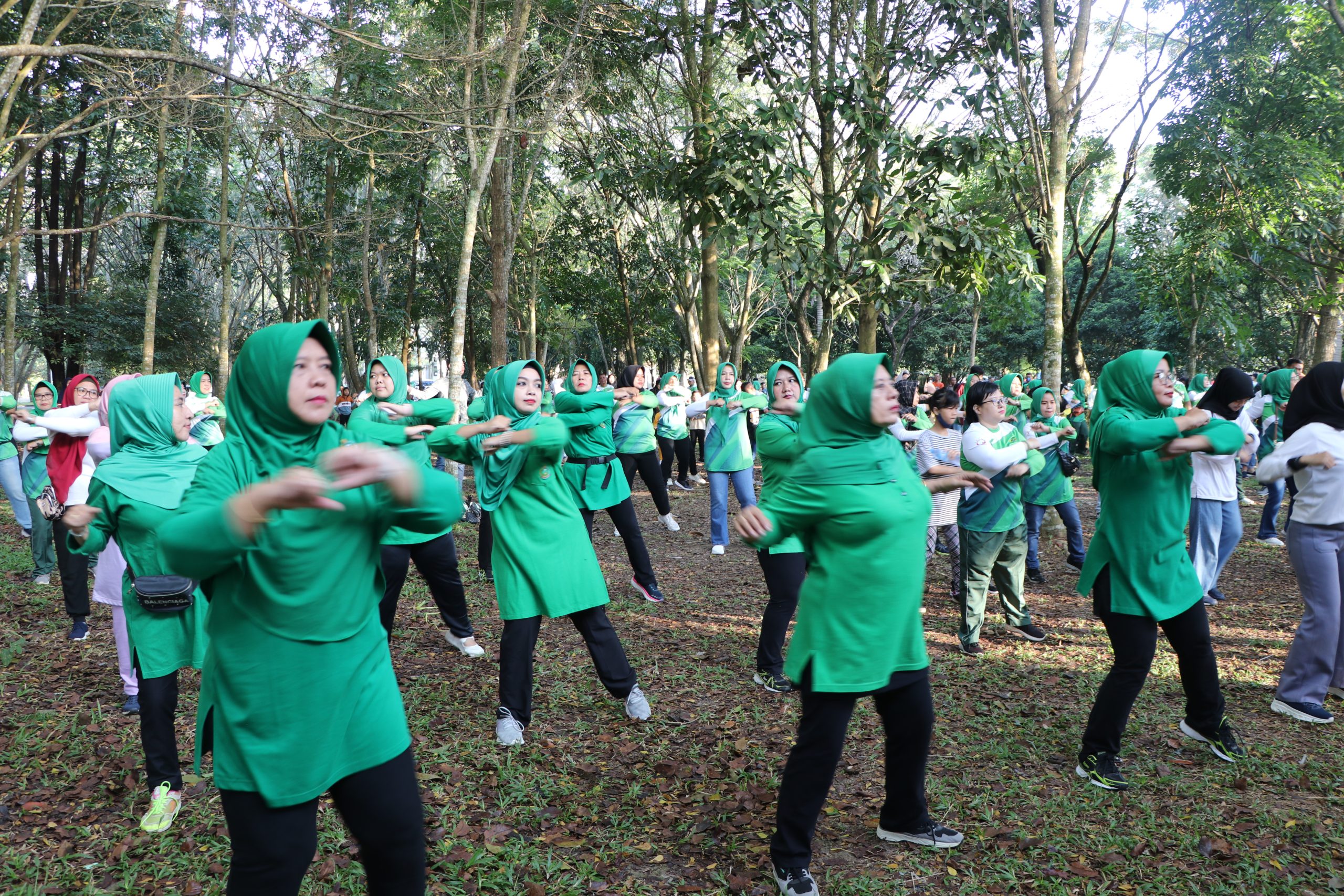 family-gathering-akgani-3