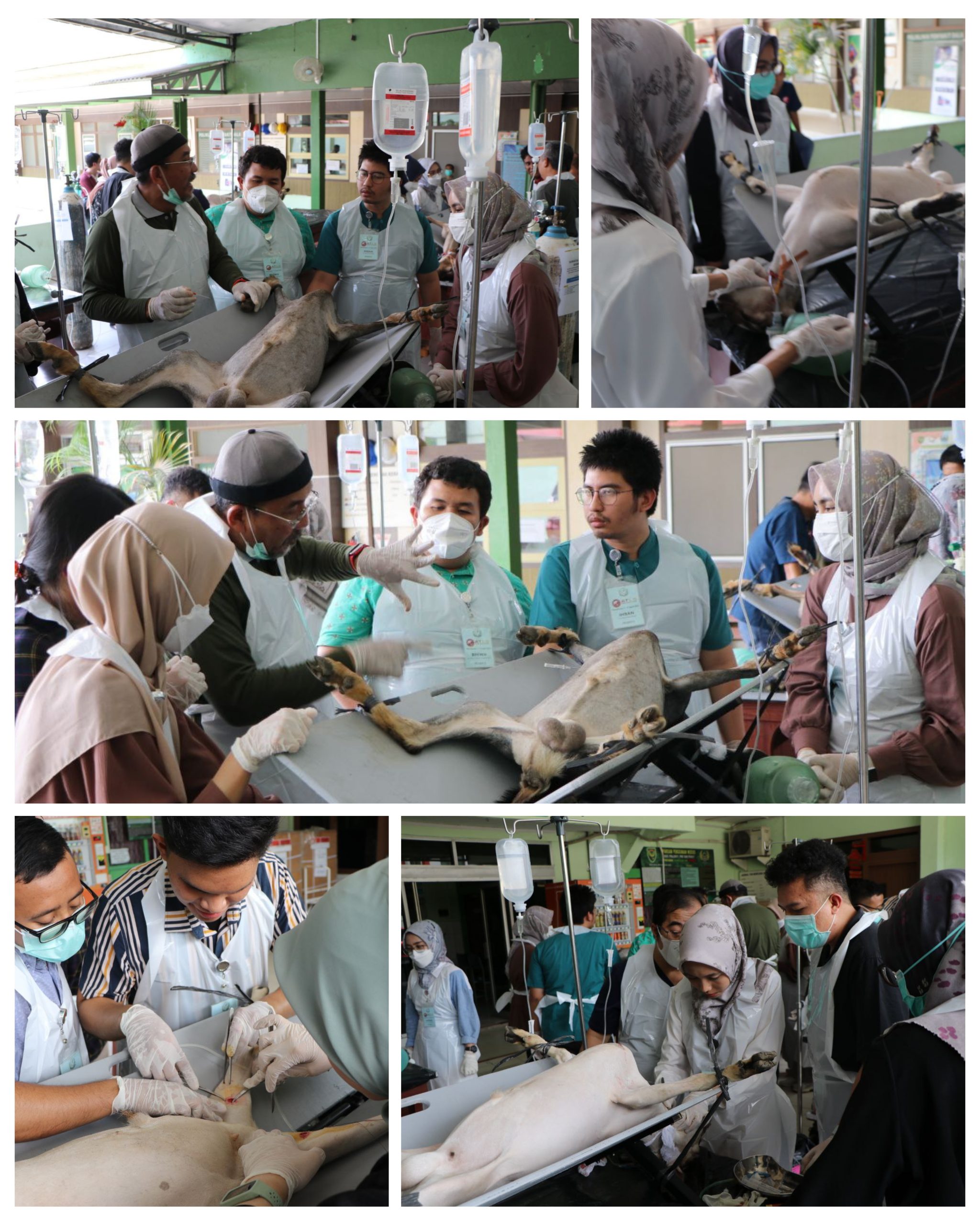 atls-akgani-3