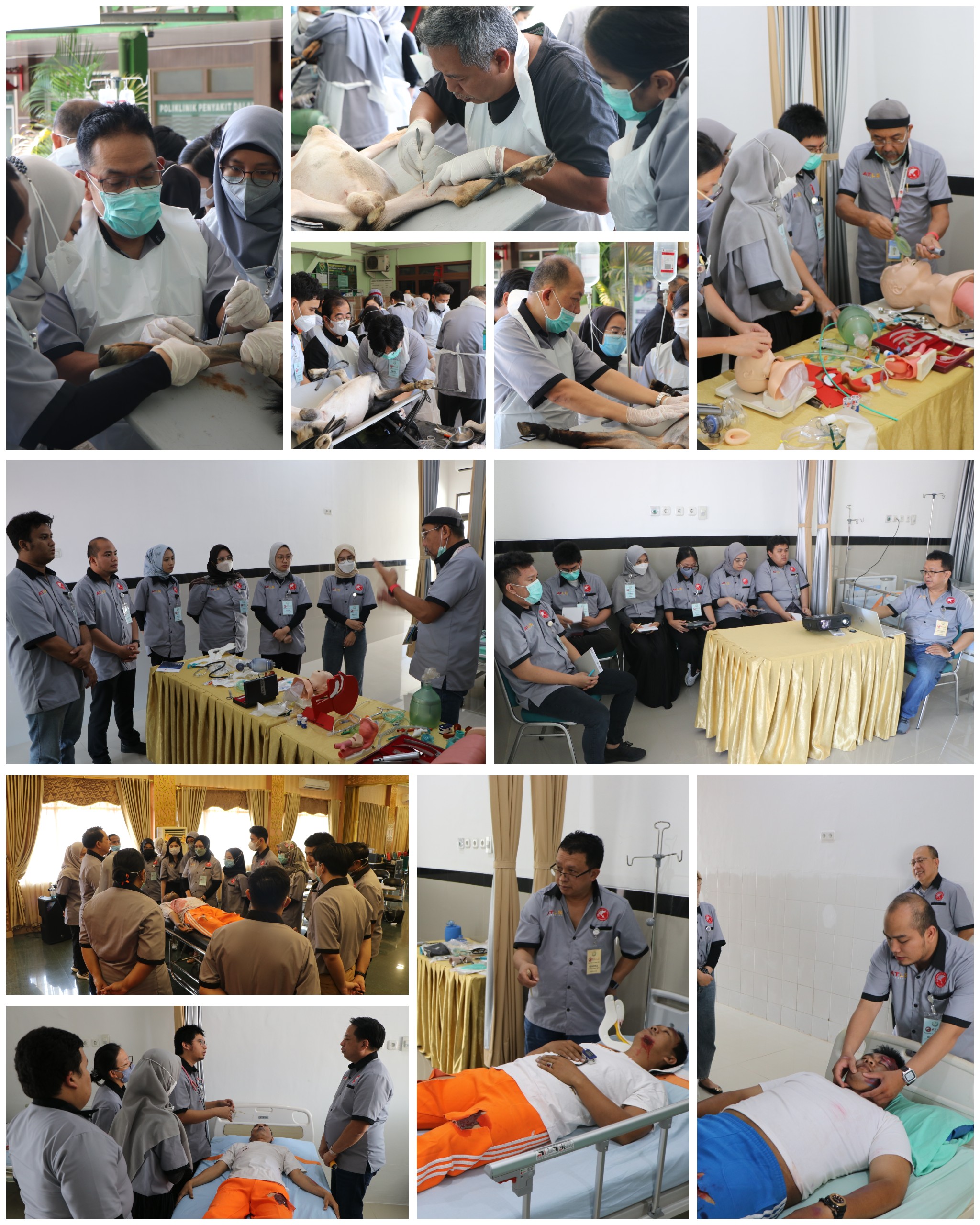 atls-akgani-7